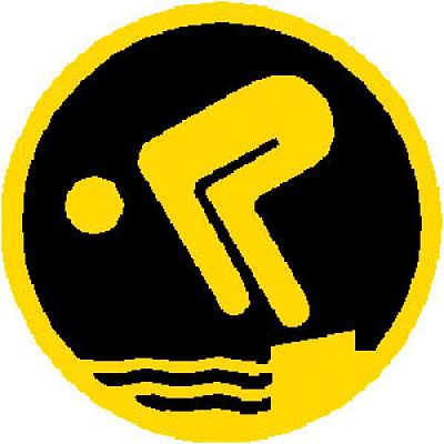 Schwimmabzeichen Gold Erwachsener Schwimmabzeichen Gold Erwachsener