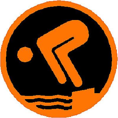 Schwimmabzeichen Bronze Erwachsener Schwimmabzeichen Bronze Erwachsener