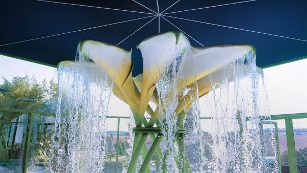 Calla-Blütendusche in der Vitaltherme & Sauna