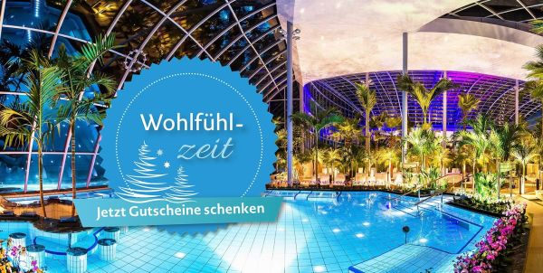 Panoramablick über das Palmenparadies bei geöffnetem Dach und Sonnenschein