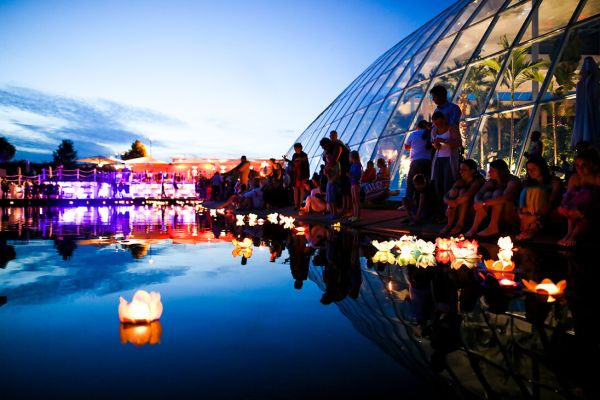 Sommernachtstraum