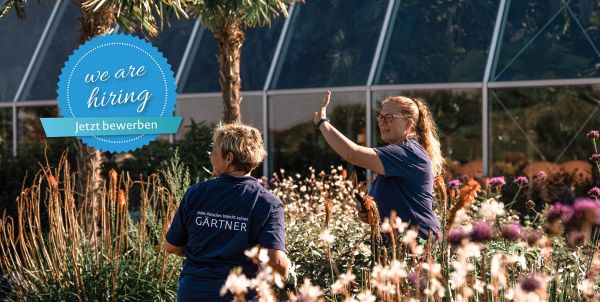 Aktuelles und Neuigkeiten Thermen & Badewelt Sinsheim