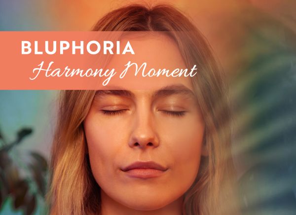 Bluphoria Moments Harmony