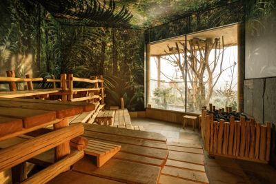 Tropensauna Thermen und Badewelt Sinsheim Bild einer Sauna mit tropisch grüner Wandgestaltung und Panoramascheibe