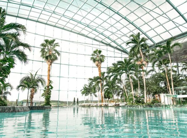 Suche Palmenparadies