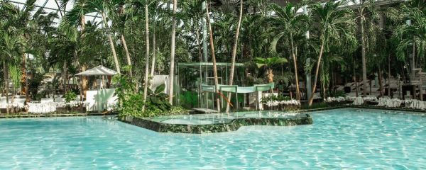 Große Lagune im Palmenparadies