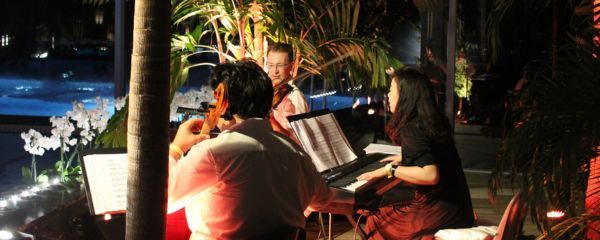 Musikerin an einer Harfe