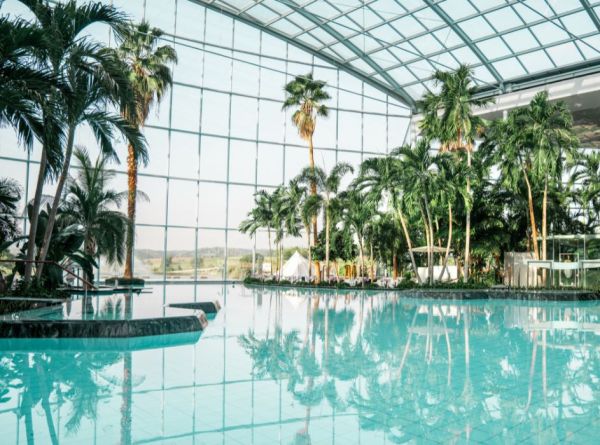 Suche Palmenparadies