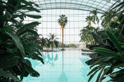 Große Lagune im Palmenparadies der Thermen und Badewelt Sinsheim
