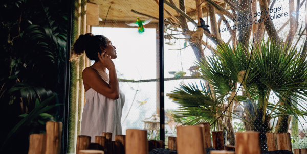 Tropen-Sauna in der Vitaltherme & Sauna