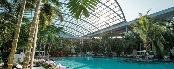 Große Lagune im Palmenparadies 