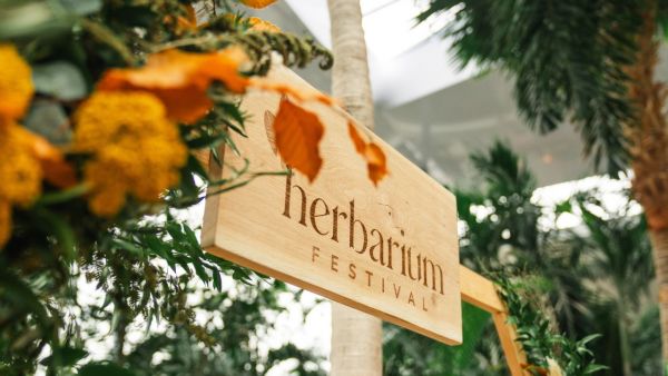 Teaserbild Podcast Herbarium