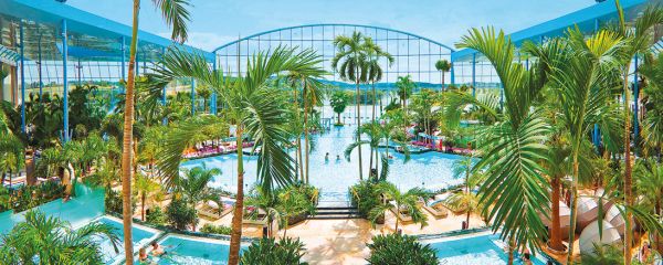 Panoramablick über das Palmenparadies bei geöffnetem Dach und Sonnenschein