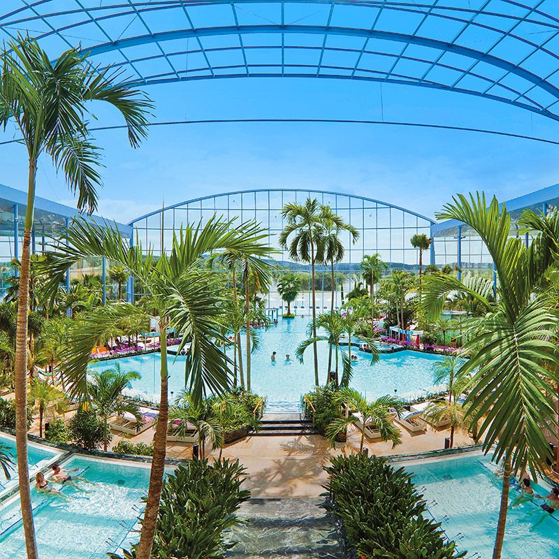 Palmenparadies und Vitaltherme & Sauna Palmenparadies mit Lagunen und geöffnetem Panoramadach